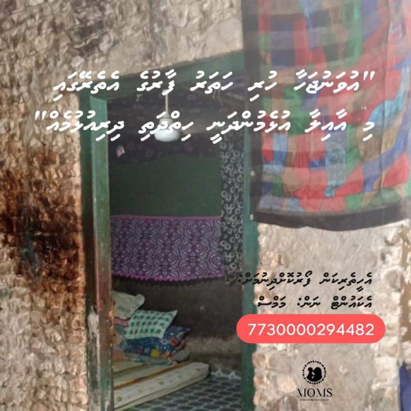 FB_IMG_1678218562755