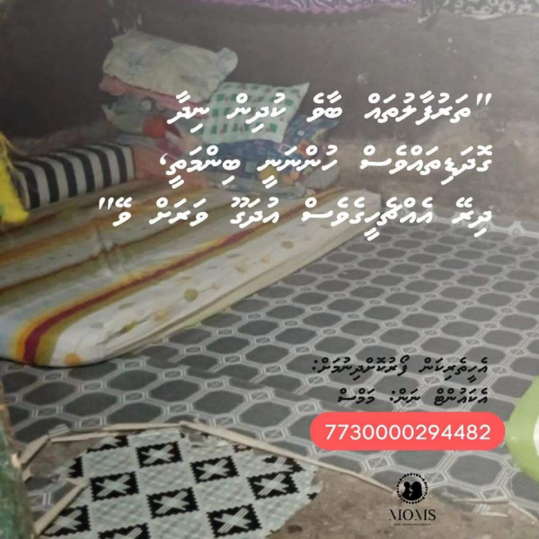 FB_IMG_1678218565735